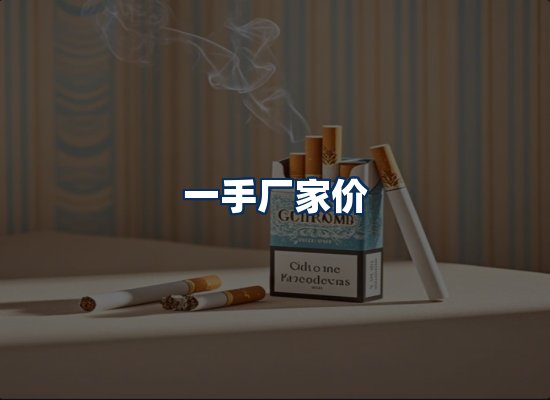 专业团队办公环境